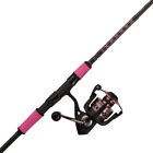031324033849 Penn Passion Spinning Combo