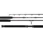 031324197701 Penn Fishing Rampage Jigging