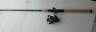 1518041 Pure Fishing Penn Battle Iii Reel Light Spin 031324048751
