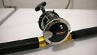 320gt Rod Andes Penn Boat Reel