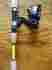 We56s21bc 6-inch Dt80-3b F562ml Daiwa D-turbo Spincast Combo 5-feet Rod Brand New 043178956762