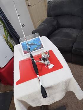 Ag3f Abu Garcia Spinning Fishing Rod 6ft Med 6-12lb And Reel Agenda