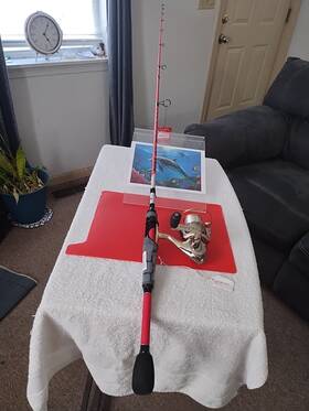 6ft6 Abu Garcia C252 Spinning Fishing Rod Maxx Inch Med 6-12lb And Reel Cardinal