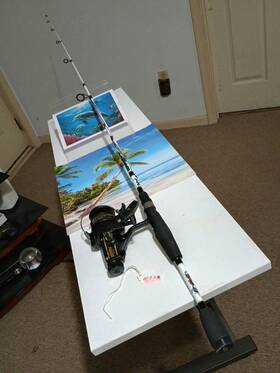 Rg1655 Abu Garcia Spinning Fishing Rod Garc A 6ft Med 6-12lb And Reel Daiwa