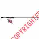 Amp5630pfcbo Shakespeare Amphibian Spinning Combo 30 56 2pc Med Pink Ambi 043388323361
