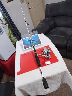 Ag1f Cardinal Spinning Fishing Rod 6ft Med 6-12lb And Reel Agenda