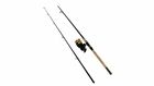 Dsk40-b-f802h Daiwa D-shock 2 Piece Rod Reel Combo Black And Gold 8 Ft Heavy