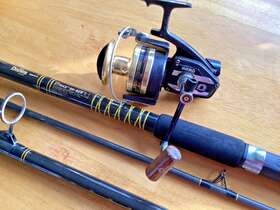 Reel-bg90 Daiwa Saltwater Rod And Reel Combo-regal Strike Sk-929 15 & Bg90 Spinning