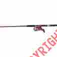 Dn505-wl Master Roddy Lite Spin Combo 7 2-piece Pink 010205929594