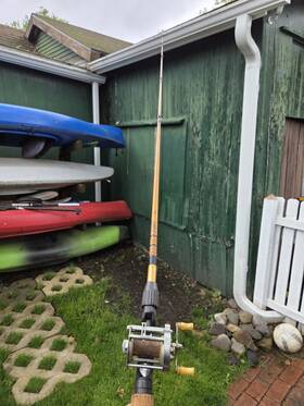 Fenwick Ca624 Yellow Cork Fishing Rod And Reel Combo