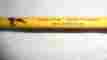 Ms1025 Eagle Claw Brave