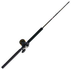 Penn 031324290808 Sqlii30ld70lb Squall Ii Lever Drag Fishing Rod And Reel Combo Black/gold