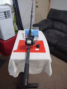 Gt2lc Penn Trolling Fishing Rod Power Stick Plus 7ft Ml 12-30lb And Reel 320