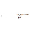 Presxt25-hmx60l2cbo Pflueger President Xt Spinning Combo Sz 043388458094