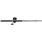 Sl2050c66 Reel Penn 1151521 Combo 113h2 Senator Rod