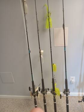 Tw66 Rod-shakespeare Reel-penn Used Tidewater 3/0 Trolling With 309 Level Wind