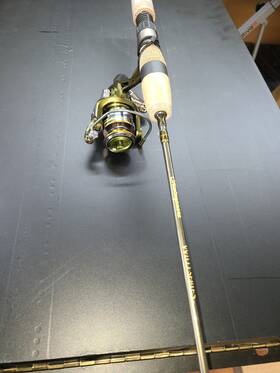 Shakespeare 043388342577 Wild Series Trout Spinning Combo 2pc 7ft