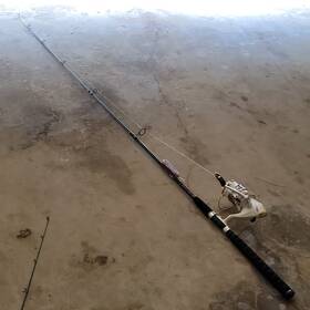Shakespeare Ss65 Silver Streak 6ft Spinning Combo Reel Size 65 5.1 1 10bb