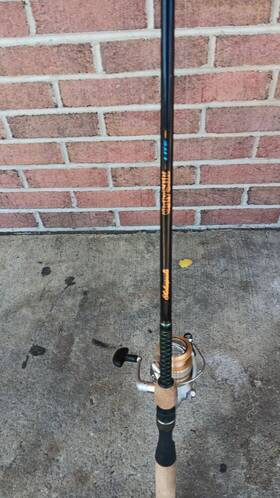 Uslpsp11701m Shakespeare Ugly Stik Lite Pro