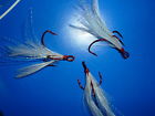 5536tr Size Wh Feathered Bulk 6 Dt Red Treble Sureset 4 Vmc White - Hooks