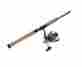 Sn25fdzr70m2 Shimano Sedona 2500 Medium 7 Spinning 2 Piece Combo 022255992299