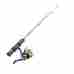 Tmp110 Celsius Ice Gear 28m Northstar Green Gold Combo 28 039364077311