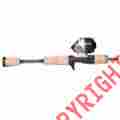 Trisp6625l2cbo Pflueger Combo Trion Spincast 6bb 66 2pc Light
