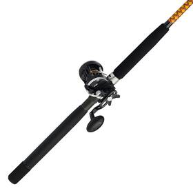 Bwc1530c701riv20lw Ugly Stik Bigwater Casting Fishing Rod And Penn Rival Level Wind Conventional