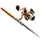 Unbranded W6 Telescopic Fishing Rod Pen Shape Portable 1m Reel Spool Thread Starter 4894462440261