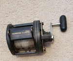 Shimano Saltwater Fishing Reel. Fixed Price $85.00.