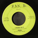 Robin & Three Hoods: Wanna Do It / That's Tuff Fan Jr. 7" Single 45 Rpm. Fixed Price $18.00.