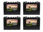 Powerstar Heavy Duty 12V Flooded Lead Acid Battery, Replaces Trojan T1275 X4. Fixed Price $1099.99.