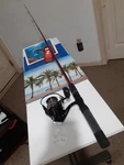 Spinning Fishing Rods Zebco Z-spin 6'MED 6-12LB And Reel Bass Pro Megacast. Fixed Price $48.00.
