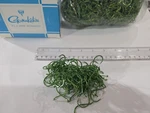100 Gamakatsu Offset Point Octopus Hooks 3/0 #208418 Green Finish Bulk Pack. Fixed Price $25.00.