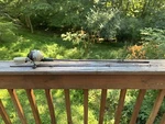 Vintage Zebco 404 Spincast Fishing Reel & Medium Action Rod Combo Nice!. Fixed Price $19.99.
