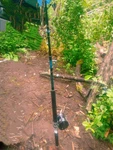 Lamiglass Rod For Halibut Fishing With Pen Real And Braided Tess. Fixed Price $200.00.