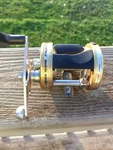 Abu Garcia Ambassadeur Brute 6600 Right-hand Baitcast Reel 6.3:1 Gold. Fixed Price $124.99.