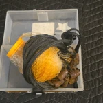 South Bend Cast Net Ft Radius 3/8 In Mesh Yellow Black Monofilament Steel. Fixed Price $7.00.