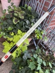 Vintage Penn Sls 2721 H Spinning Rod Made Usa. One Owner Barely Used.. Fixed Price $98.00.