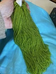 Seed Master Hank Apple Green 490G Czech Vintage Glass Beads. Fixed Price $39.99.