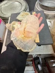 7 1LB/BAG Xl Size Dried South American Wild Caught Fish Maw-u.s Seller. Fixed Price $152.55.