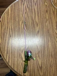 Shakespeare Disney Fairy Fishing Pole Kids Rod Reel Combo 30. Fixed Price $12.99.