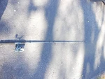 Shakespeare & Reel: ROD-66PR 6'6" Spinning Rod, EX35 Cao. Fixed Price $25.00.