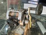 Daiwa 40HA Saltist-lw Overhead Fishing Reel. Fixed Price $183.49.