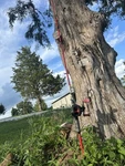 Abu Garcia Baitcast Combo 6' 6" Rod 2-PIECE MAXX662M 1524117. Fixed Price $85.00.