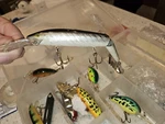 Box Of 17 Vintage Fishing Lure 's Bait Tackle Don't Know Anything About Them. Fixed Price $65.00.