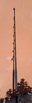 Shakespeare Tidewater 20-50LBS Sigma 5'6" Trolling Bottom Fishing Rod. Fixed Price $75.00.