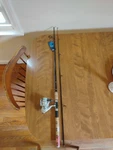 Daiwa Model No. Dsc F662M 6'6" Medium With Shock Abs 2500-B Reel. Fixed Price $22.45.