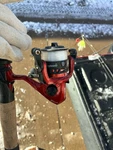Shakespeare Ugly Stik Dock Runner Spinning Fishing Rod And Reel. Fixed Price $75.00.