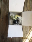 Abu Garcia Cardinal Ascent Fishing Reel AS2F - New Box W/papers. Fixed Price $55.00.